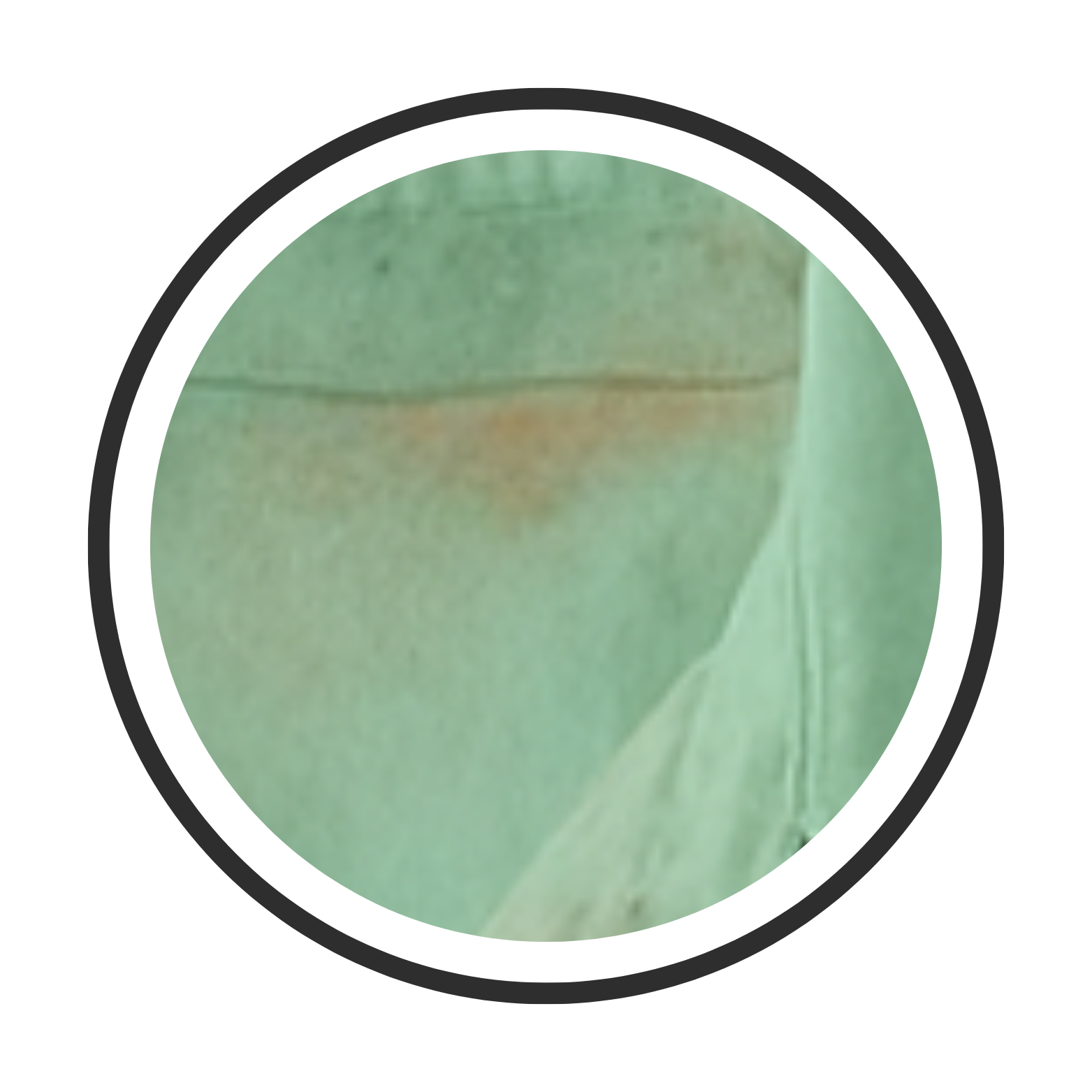 Home hero hover makeup