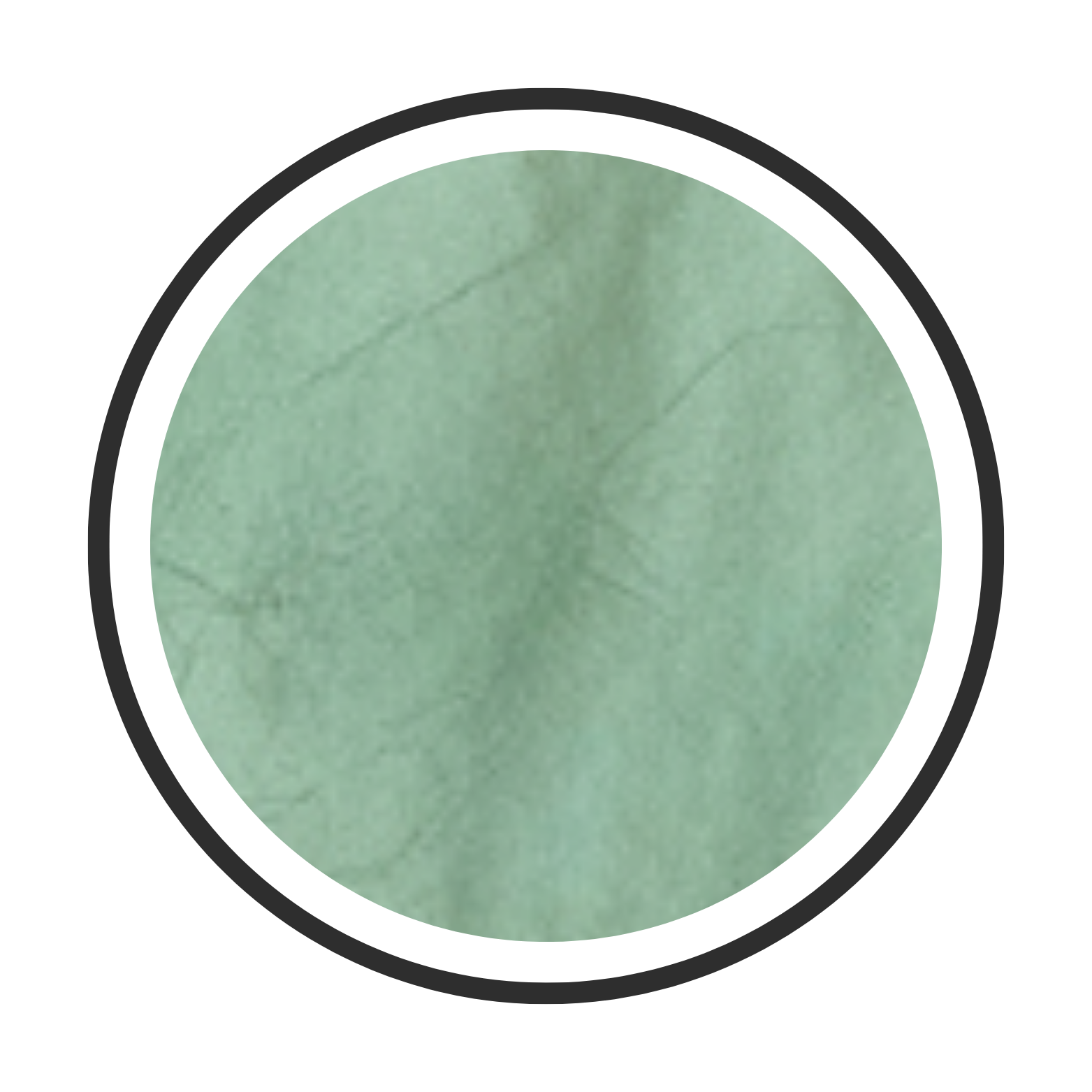 Homne hover pet hair